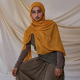 Turmeric Modal
