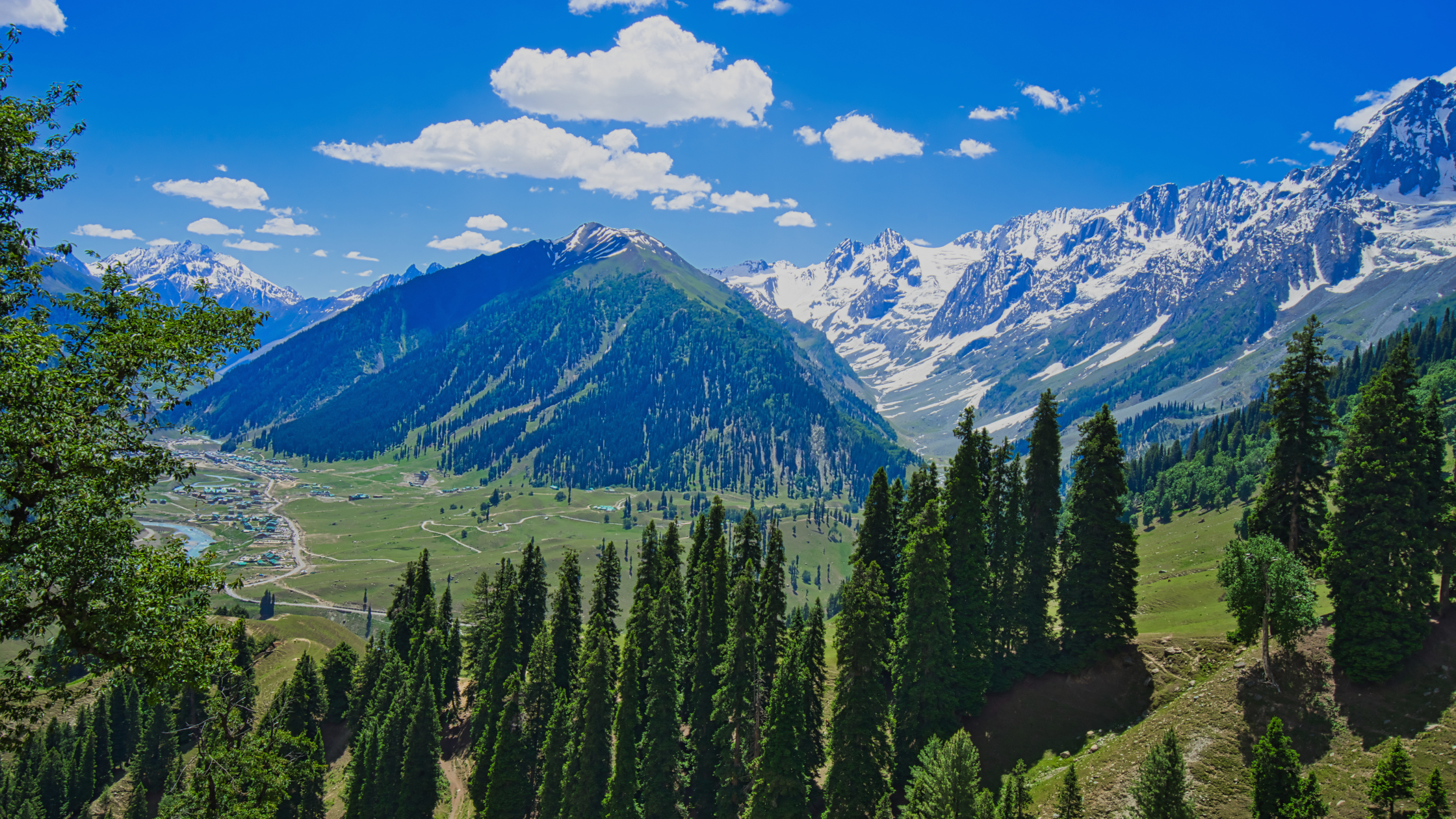 The Forgotten Struggle of Kashmir: Between Memory and Modernity