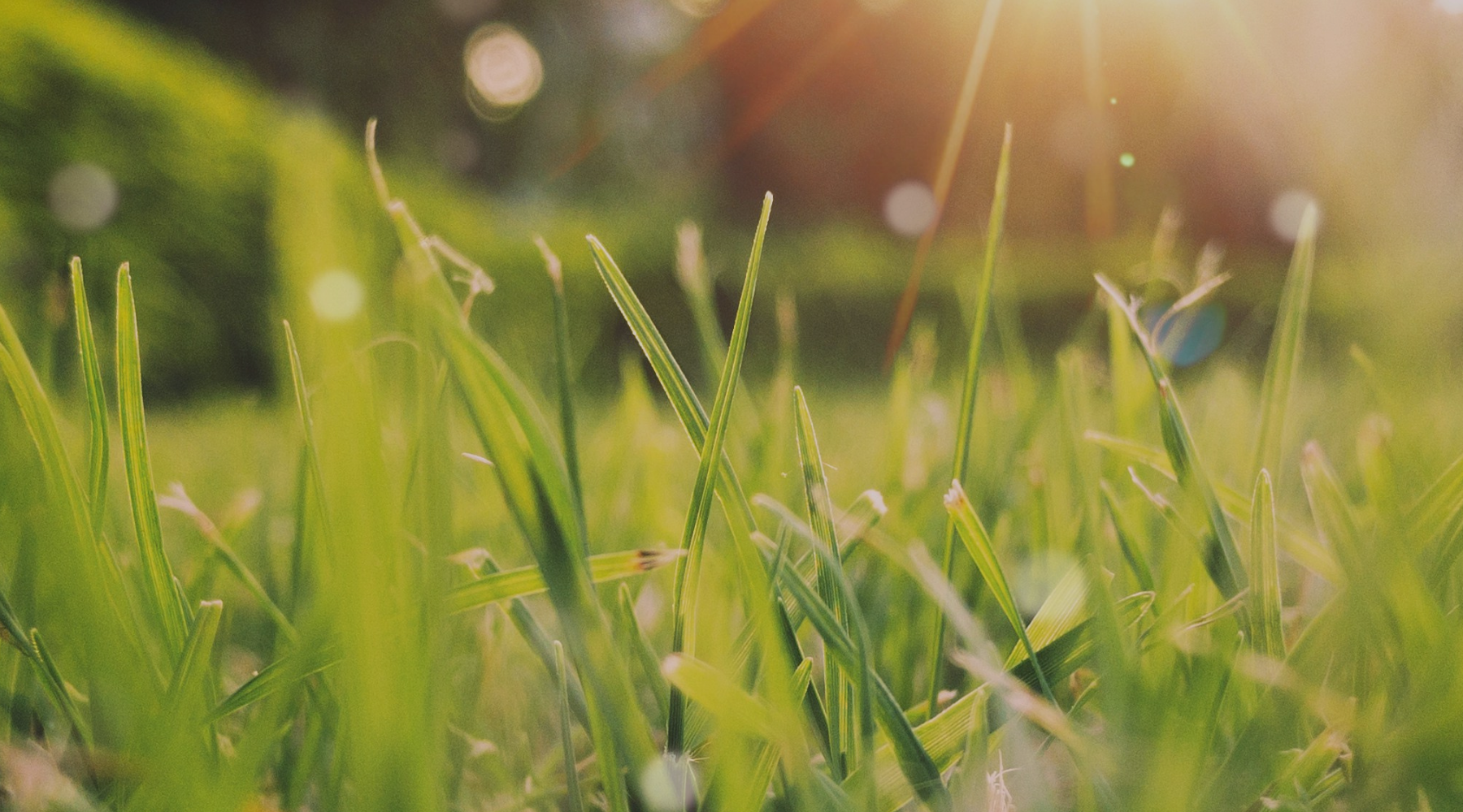 A Soft Reset: Creating a Daily Routine That Feels Grounded