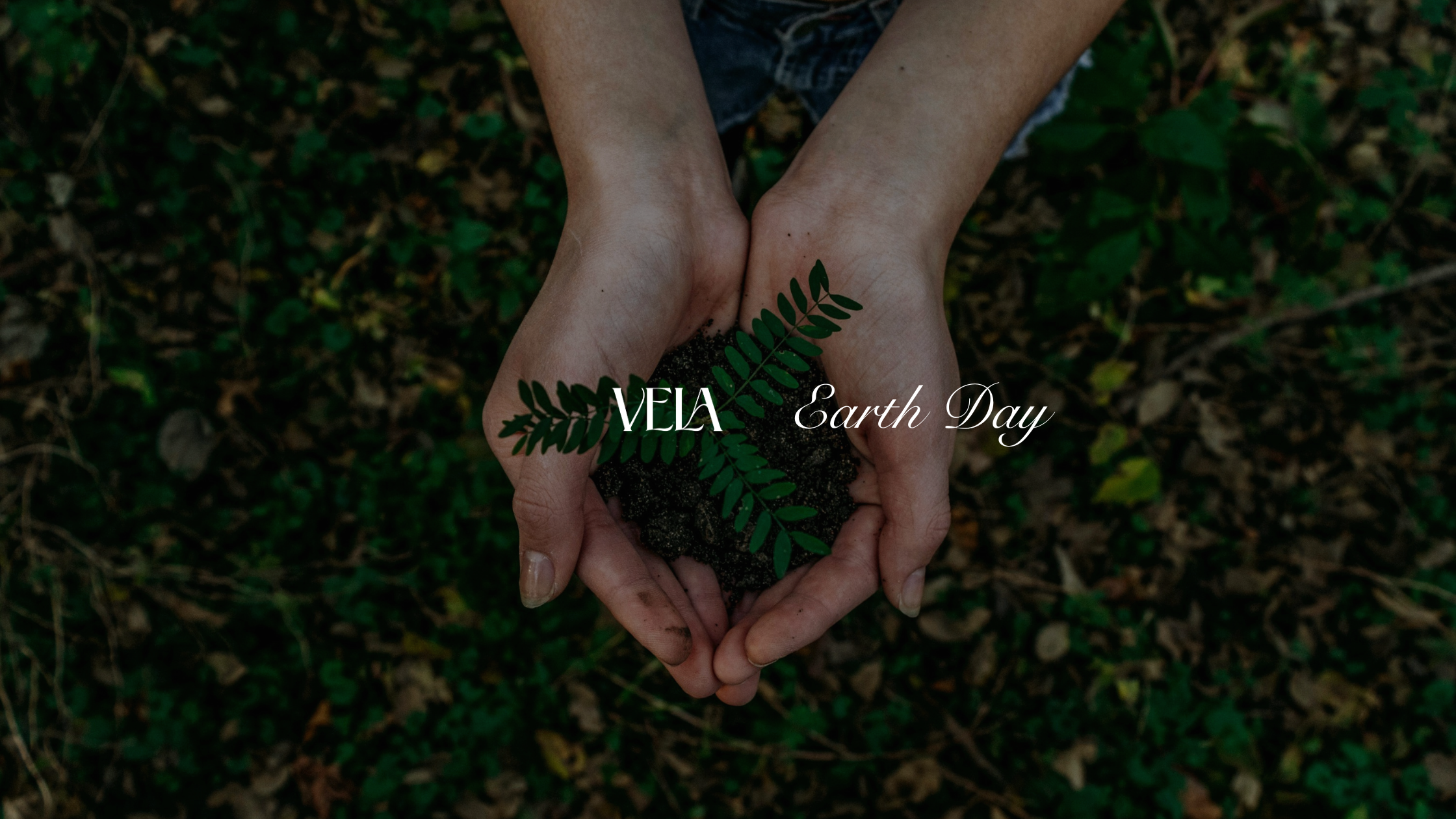 Earth Day: Environmentalism in Islam