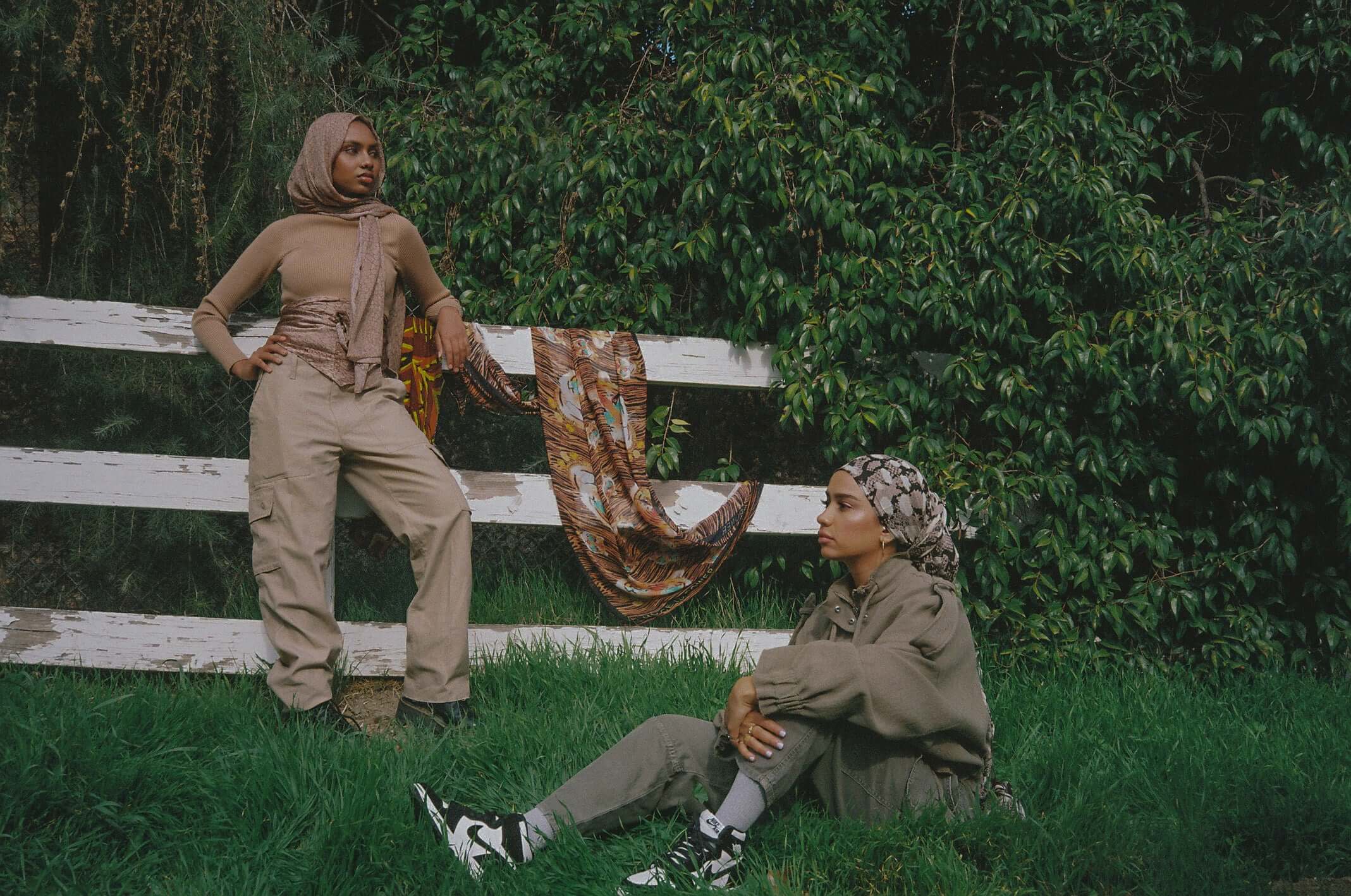 Safari