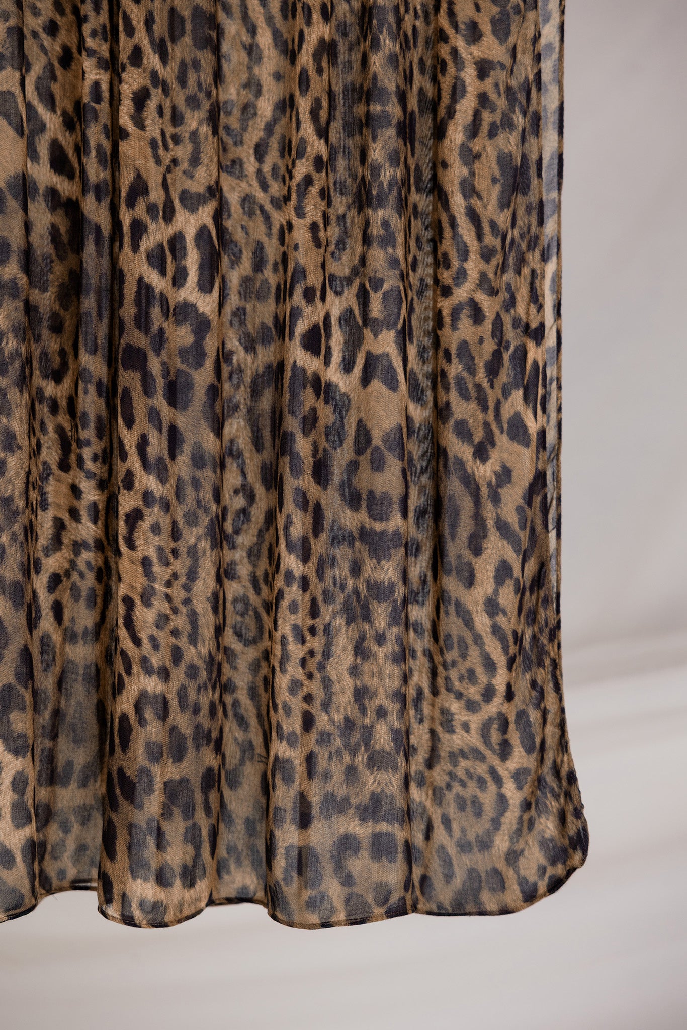 Leopard - Image 4