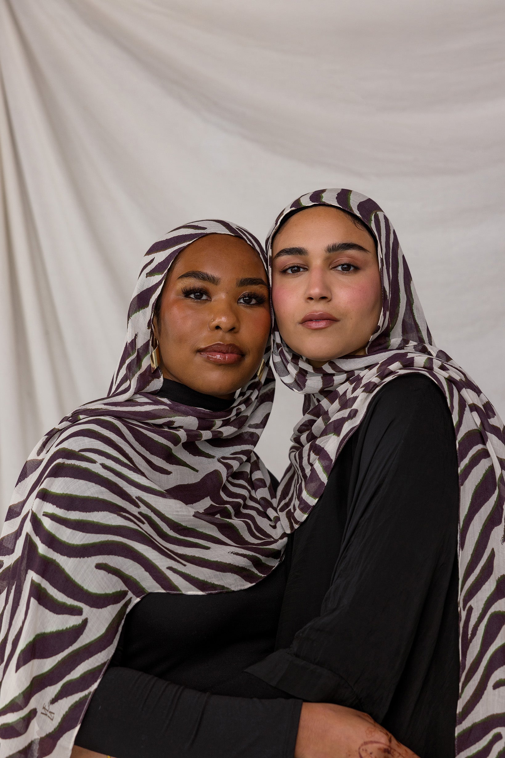 Zebra - Image 4