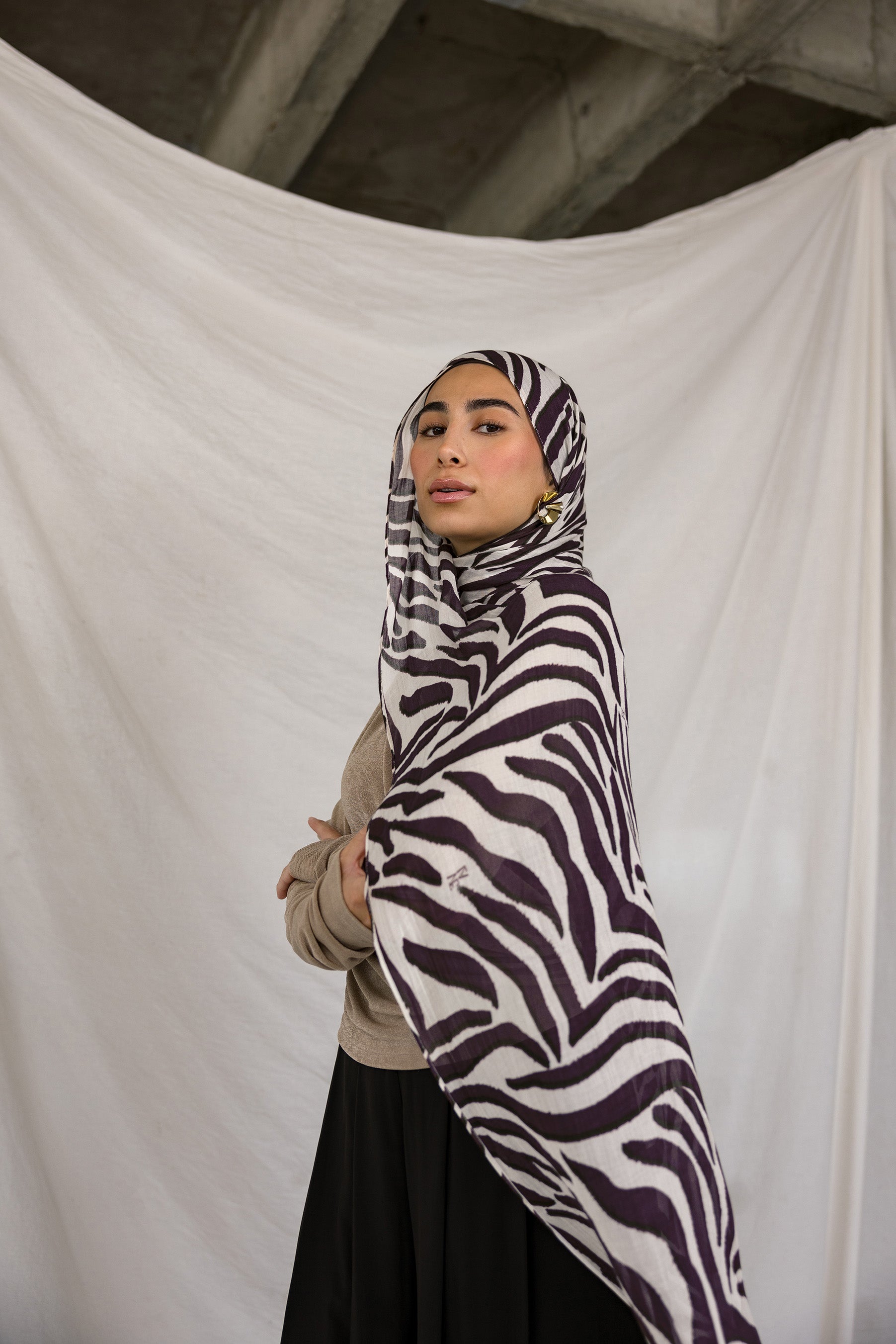 Zebra - Image 1