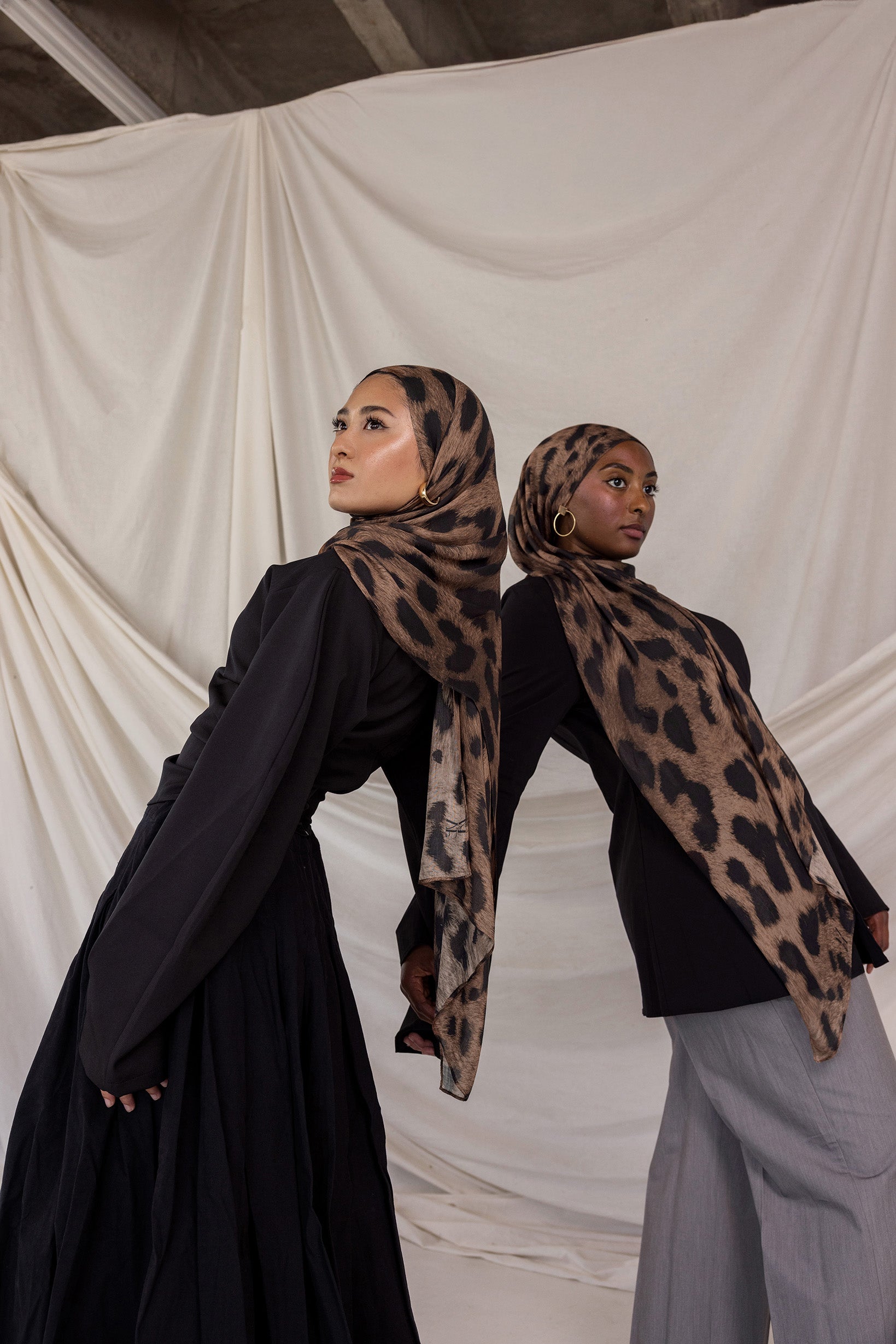 Chocolate Leopard - Image 2