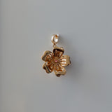 Sakura Charm