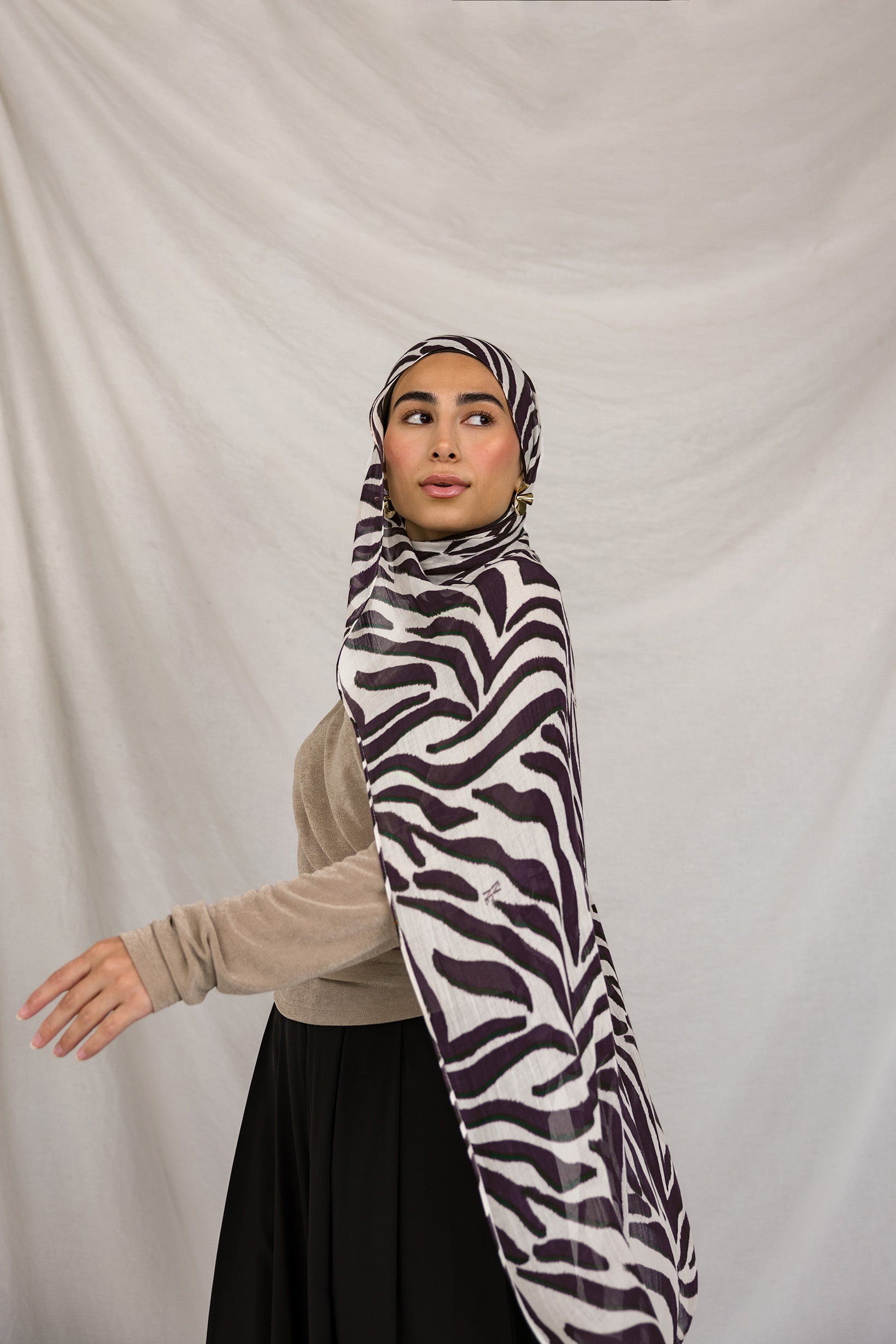 Zebra - Image 5