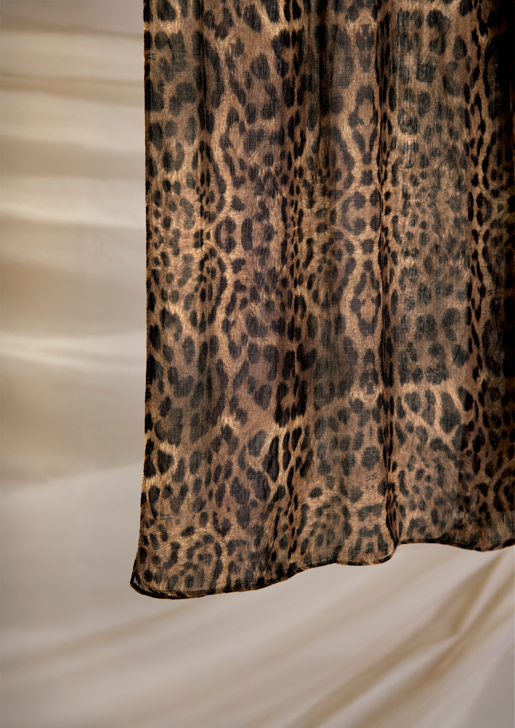 Leopard - Image 5